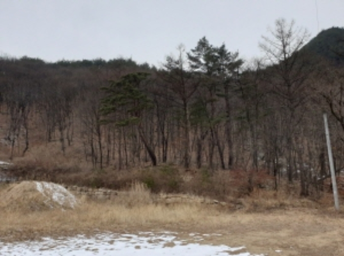 목록 19