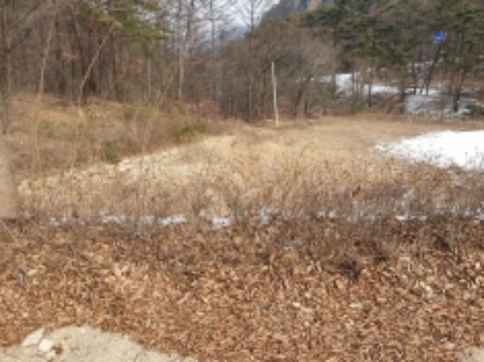 목록 20