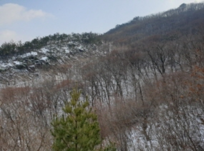 목록 18