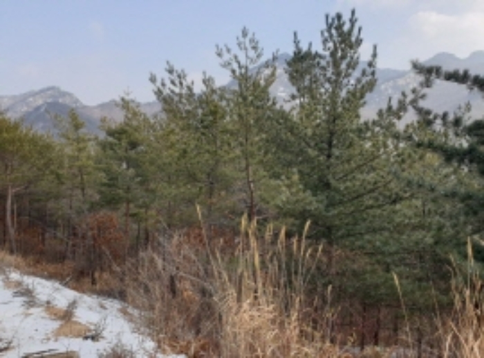 목록 5