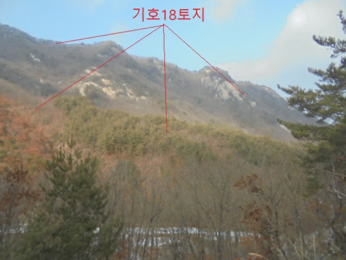 2021타경7596