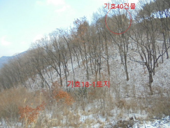 2021타경7596