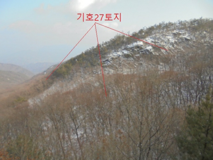 2021타경7596