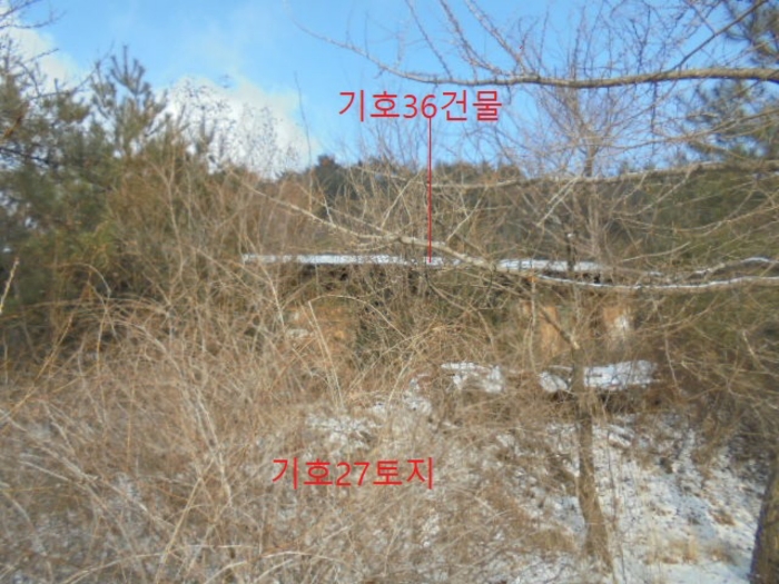2021타경7596