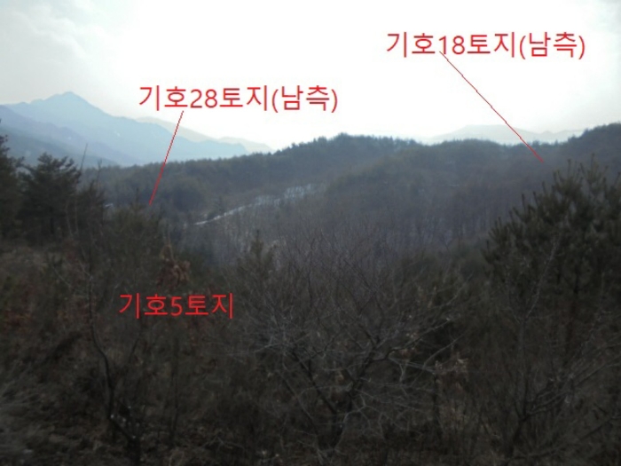 2021타경7596