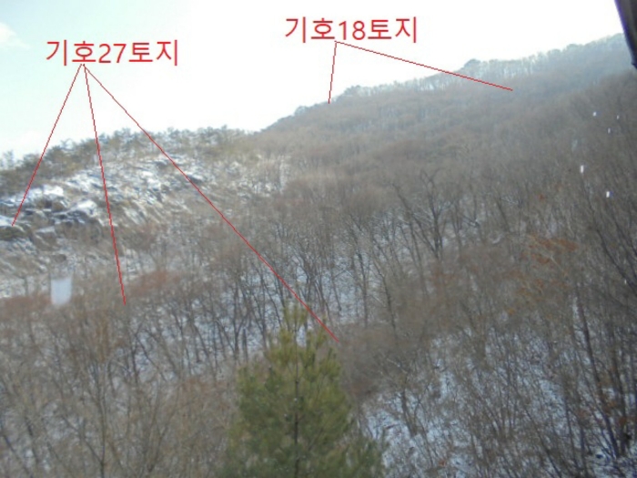2021타경7596