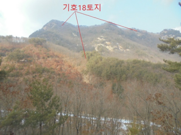 2021타경7596