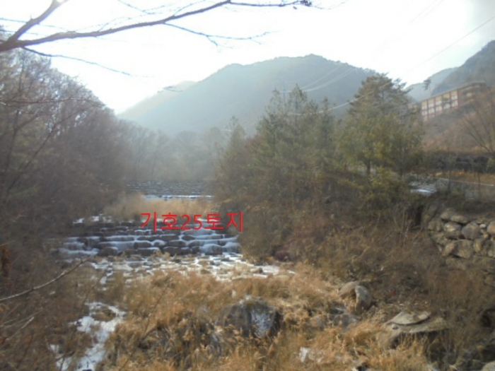 2021타경7596