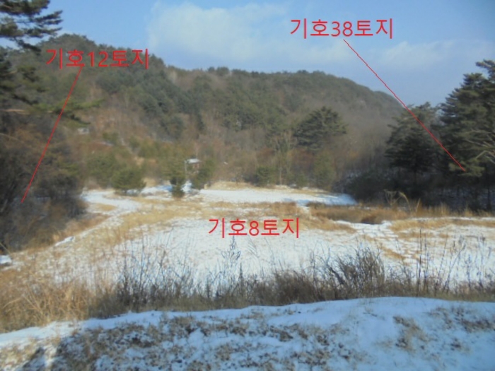 2021타경7596