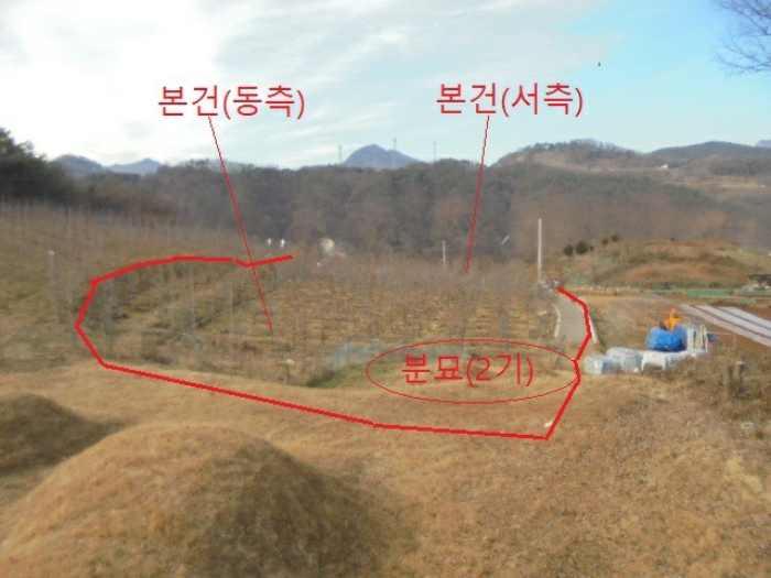 2022타경1243