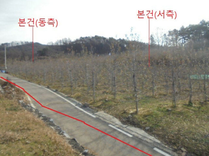 2022타경1243
