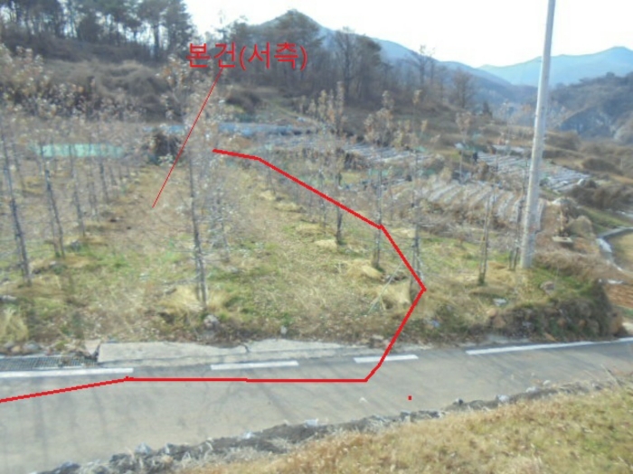 2022타경1243