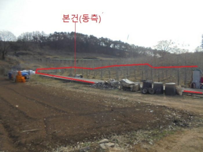 2022타경1243