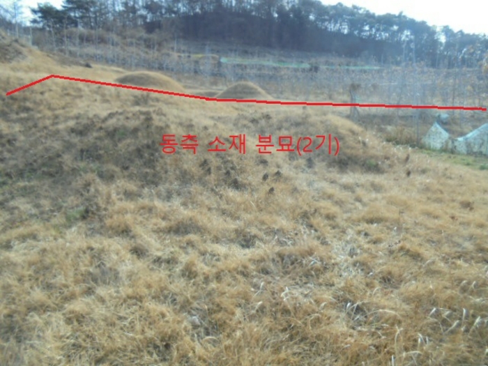 2022타경1243