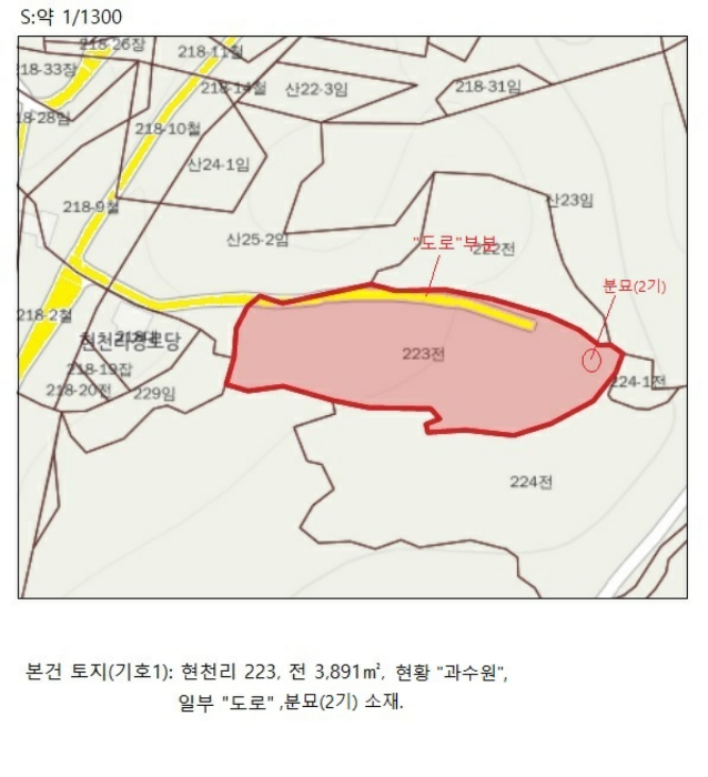2022타경1243