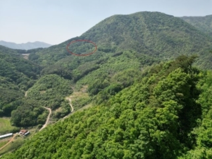 항공사진