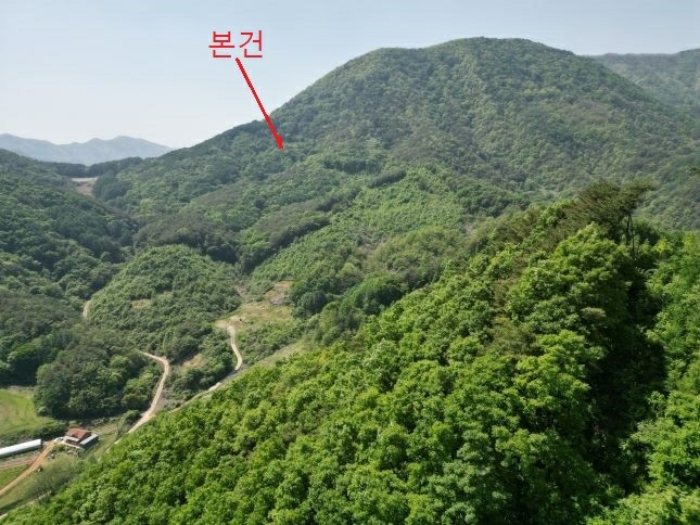 2024타경5959