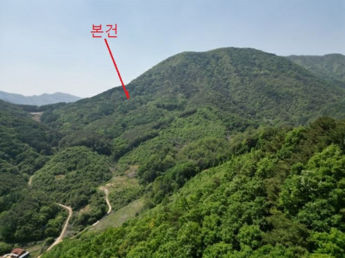 2024타경5959