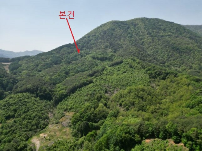 2024타경5959