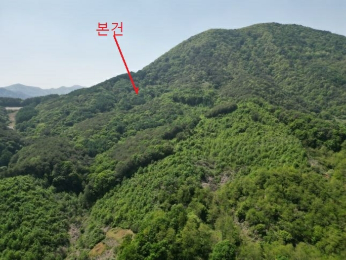 2024타경5959