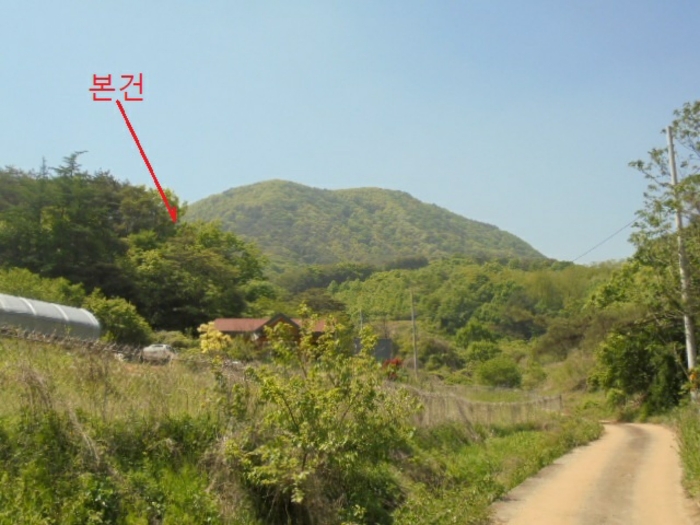 2024타경5959