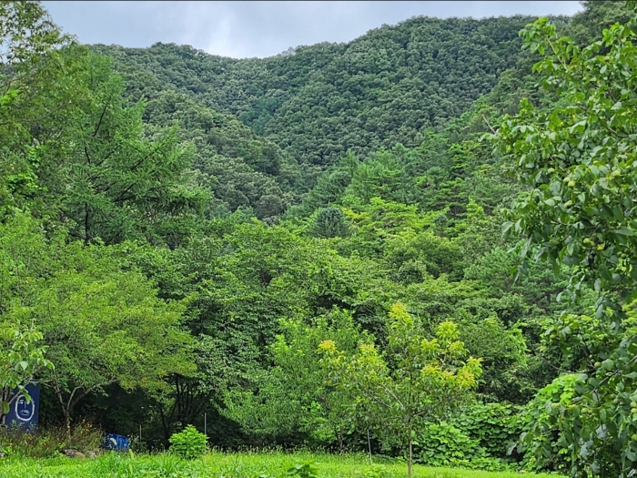 부근 상황