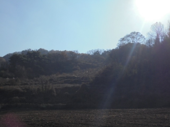 본건 1 전경