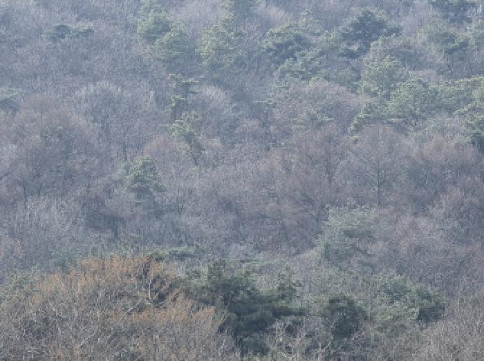 본건 1 전경