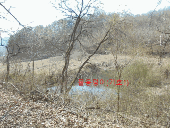 2025타경5283