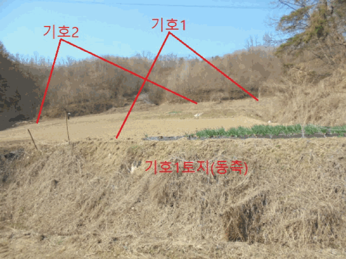 2025타경5283