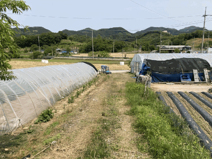 인근 도로