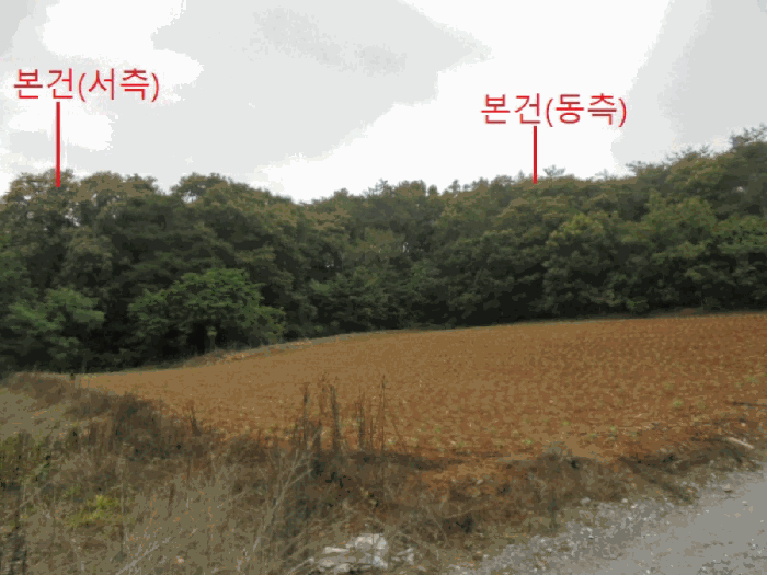 2025타경5337