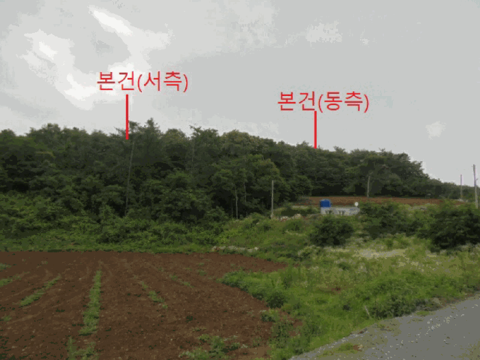 2025타경5337