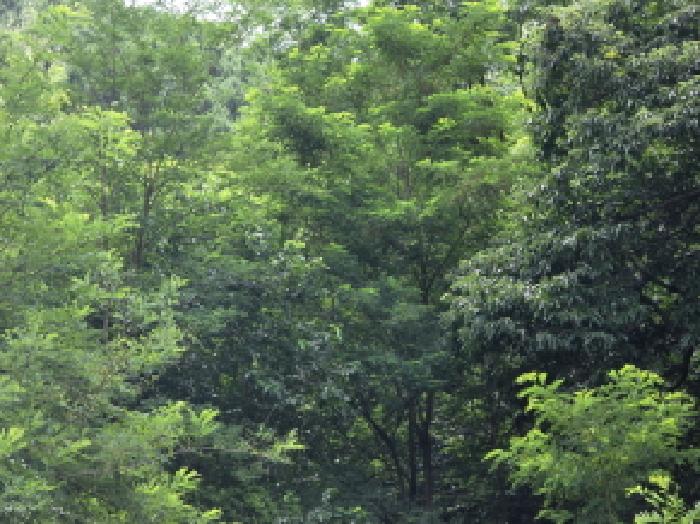 본건 4 전경