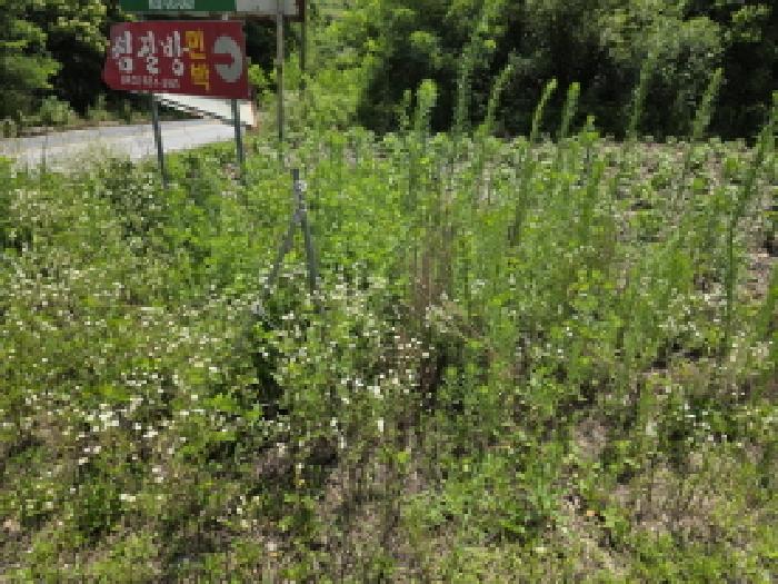 본건 1 전경