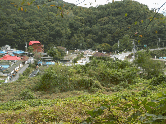 일련번호1 전경