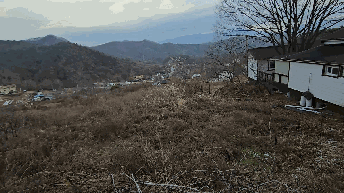 기호 5,6 전경