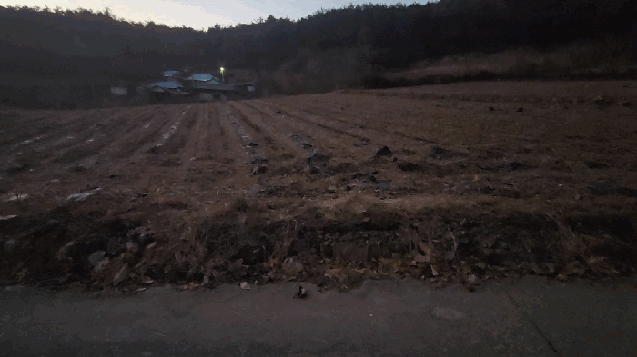 기호 4 전경