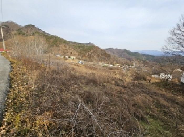 목록 5,6