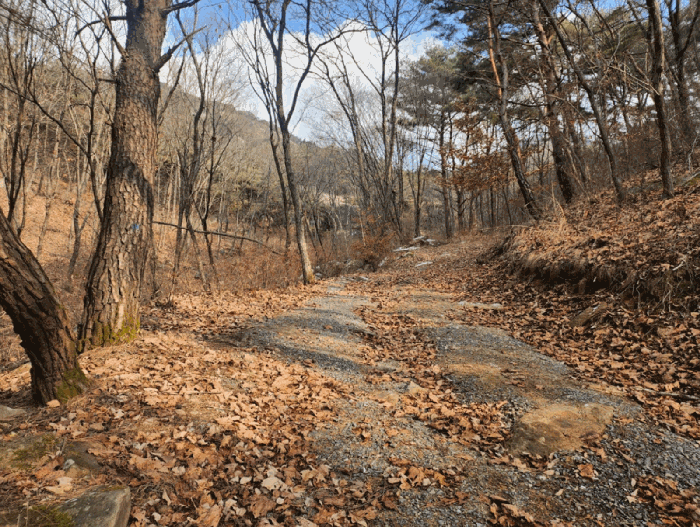 기호 5(산책로)