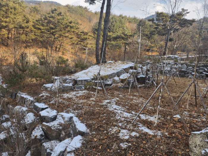 기호 1(축대조성 및 수목)
