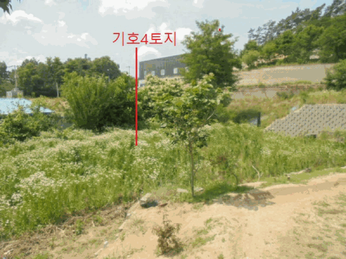 2026타경40