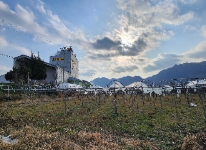 충청북도 옥천군 옥천읍 삼청리 926-4