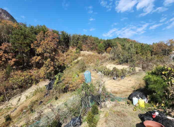 충청북도 영동군 심천면 기호리 산33-9