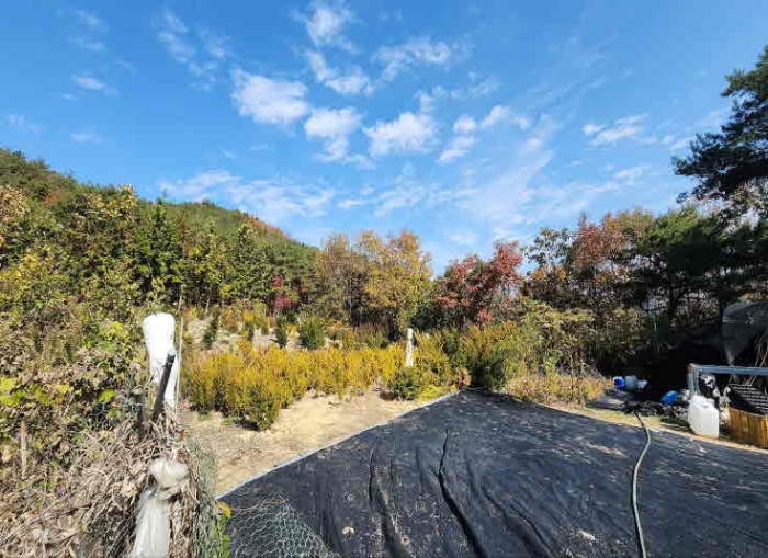 충청북도 영동군 심천면 기호리 산33-9