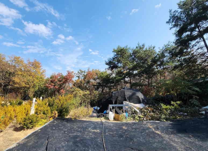 충청북도 영동군 심천면 기호리 산33-9