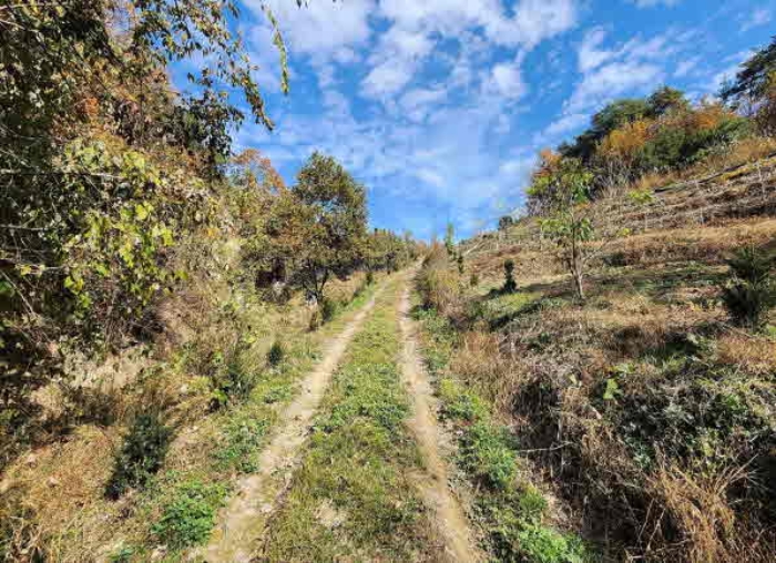 충청북도 영동군 심천면 기호리 산33-9