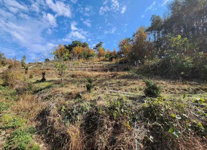 충청북도 영동군 심천면 기호리 산33-9