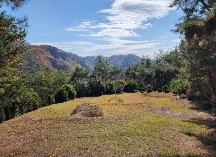 충청북도 영동군 심천면 기호리 산33-9