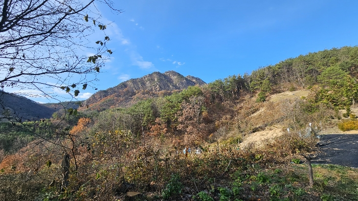 본건 전경_3